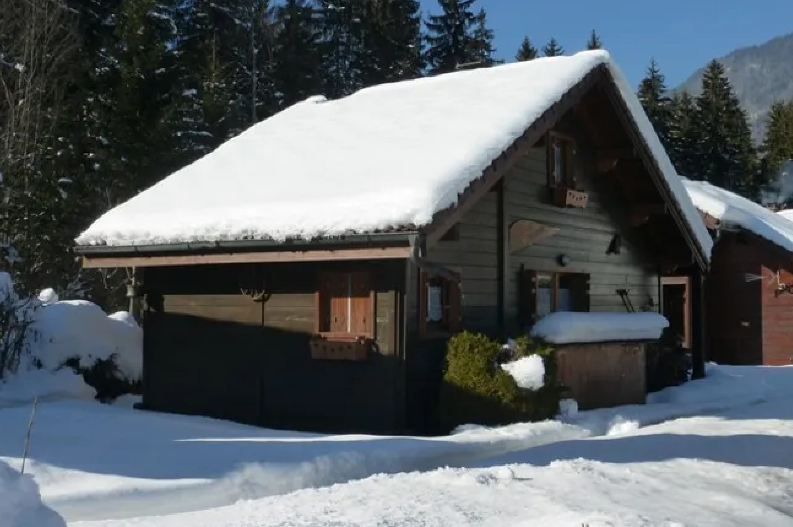 Chalet 21 / Les chevreuils